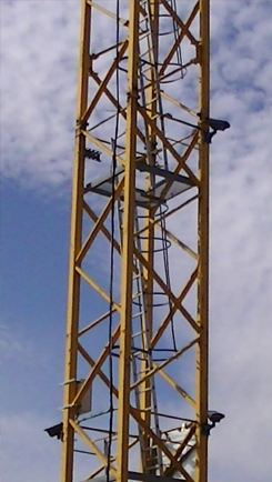 grue
